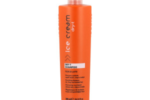 INEBRYA DRY T SHAMPOO 300 ML